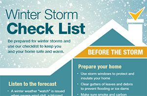 winter storm checklist