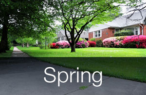 Home during Spring time