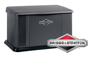 Briggs and Straton AC unit